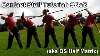 Contact Staff Tutorial SNeS Half Matrix [upl. by Aynuat205]