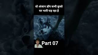 Avi shkar khada hota hai kutton Mukabala karne part 07 [upl. by Anatol925]