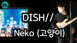 TAB DISH  猫 Neko 고양이 베이스 커버 타브악보 Bass Cover [upl. by Cardon]