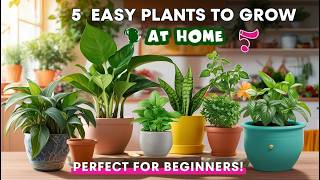 Top 5 Easy Plants to Grow at Home for Beginners  Step by Step guide [upl. by Tanner849]