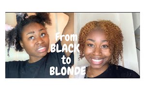 DYING MY HAIR HONEY BLONDEno bleach❗️❗️GOES WRONG😟 [upl. by Adrian]