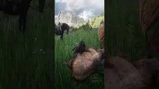 RDR2  Moose Location Underneath Fairvale Shanty reddeadredemption rdr2 reddeadredemtion2 rdr [upl. by Raimondo]