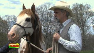 Equine Author Tom Moates [upl. by Eanerb50]