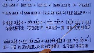 酒醉的蝴蝶 主歌教唱 唱歌 歌唱 教學 蕭佩茹老師 蕭老師 孫藝琪 [upl. by Aihsekel293]