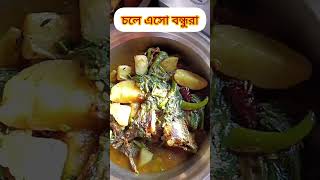 বন্ধুরা আজকের রান্না😋😋😋 food blog longvideo youtublongvideo PutulTikadarv4s [upl. by Genovera237]