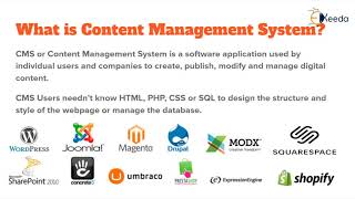 Content Management System CMS [upl. by Ihskaneem988]