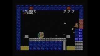 Metroid NES Kraid Fight No Damage [upl. by Zitah]