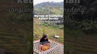 Glamping Kebun Durian Sangiang Bedil  rate 500650k udah termasuk sarapan👍🏻 glamping sumedang [upl. by Lavelle565]