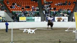 Reeboks Kid Equine Affaire Versatility Finals [upl. by Deden]