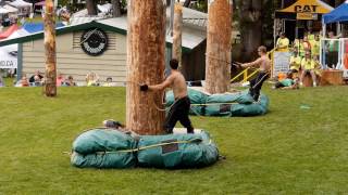 Pole Climbers at the Powell River Loggers Sports July 18th 2016 [upl. by Yaj]