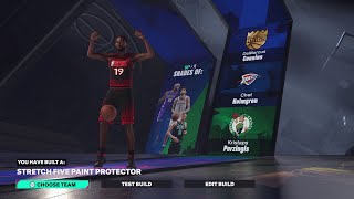 NBA 2K25 RARE BUILDS  STRETCH FIVE PAINT PROTECTOR [upl. by Lesna767]