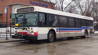 Ride On CTA 2006 New Flyer D40LF 1141 On Rt 119 Michigan119th to 119th StreetWestern [upl. by Lladnik254]