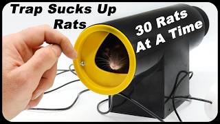 Huge RATS Sucked Up With New Rat Vac Trap  30 Rats At A Time Amazing New Trap Mousetrap Monday [upl. by Aerdnek]