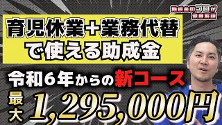 【育児休業の助成金】両立支援等助成金・育休中等業務代替支援コースを徹底解説（助成金社労士中小企業最新両立支援育児休業業務代替初心者相談令和６年新コース） [upl. by Niltiak]