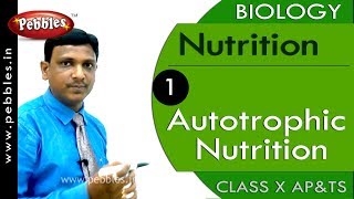 Autotrophic Nutrition Nutrition  Biology  Science  Class 10 [upl. by Sneve]