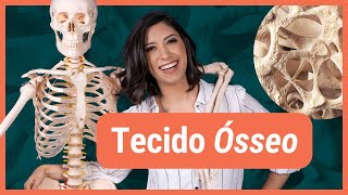 TECIDO ÓSSEO  Histologia [upl. by Imak]