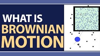 What is Brownian Motion  Definition amp Explanation  Significance amp Examples  Physics Concepts [upl. by Sandry]