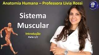 Anatomia Humana  Sistema Muscular  Introdução 12 [upl. by Oiludbo249]