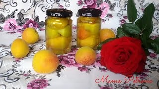 Kompot od kajsija bez konzervansa  Apricot Compote Recipe without preservatives  Mama Petrovic [upl. by Deyas]