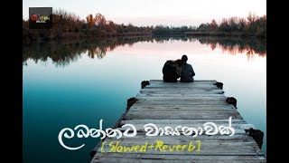 Labannata Wasanawak Slowed amp Reverb song kassa music slowedreverb [upl. by Swartz]