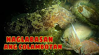 ep310naglabasan ang colambotan night spearfishing Philippines [upl. by Saxe682]