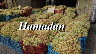 IranHamadan Market grape harvest Part 86 [upl. by Aram]