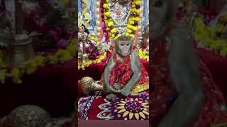 Hai khoon ragon mein ham sanatani Jay Siyaram 🙏 Jay Hanuman 🙏 subscribe like karo please 🙏🙏 [upl. by Imoian]