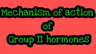 Mechanism of action of group 2 hormones II Gprotein II cAMP [upl. by Dianuj359]