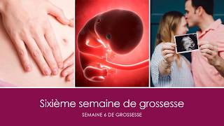 6 semaines de grossesse OU sixième semaine de grossesse [upl. by Aniala]