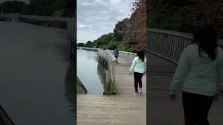 Halfmoon bay to Bucklands beach walkway aucklandcity walk newzealand [upl. by Wally]