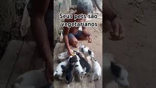 Vegetariano familiaoliveira17k agenciadepublicidade [upl. by Zetra]