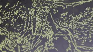 The Etching Process A Documentary of the Intaglio Printmaking Process [upl. by Alyosha9]