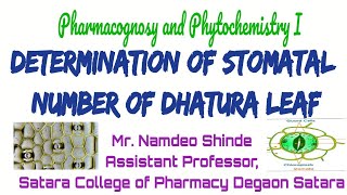 Determination of Stomatal Number of Dhatura Leaf  Pharmacognosy and Phytochemistry  Part I [upl. by Yrek525]