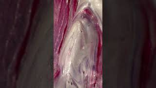 luxurious paint swirling oddlysatisfying art shorts [upl. by Mauceri]