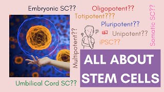 All About Stem Cells  Cell Potency amp Stem Cell Types Updated 2020 [upl. by Kered]