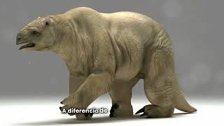 quotDescubre al Megatherium El Perezoso Terrestre Más Grande que Existióquoten la Era del Hielo [upl. by Ruby]