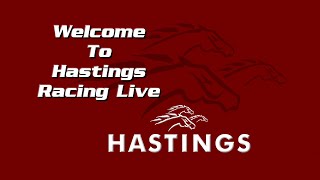 Hastings Racecourse Official Live Stream August 26th 2024 [upl. by Os]