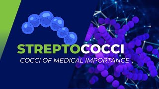 Streptococci of Medical Importance S pyogenes S agalactiae S pneumoniae and others [upl. by Rorke]