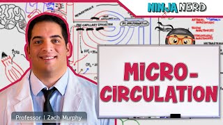 Cardiovascular  Microcirculation [upl. by Kentiggerma]