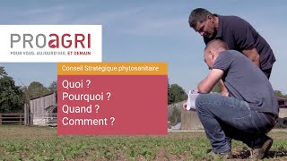 Conseil Stratégique Phytosanitaire [upl. by Eceinej]