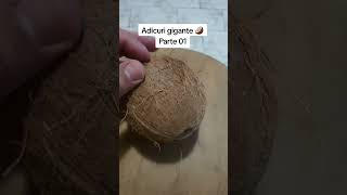 Adicuri gigante 🥥Parte 01 [upl. by Yeznil951]