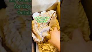 Favorite Supplements from USANA Health products October 2024 [upl. by Tyrone]