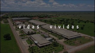 Vidas Vividas  Fazenda Nova Piratininga 2019 [upl. by Ahsiled]