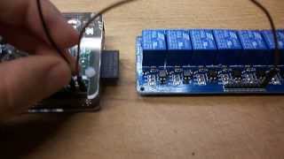 How to Home Automation  connect 8 channel relay  Raspberry Pi [upl. by Enelak]