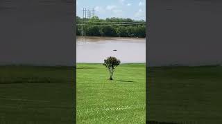 Red River flooding behind Willow Terrace Drive [upl. by Yleek]