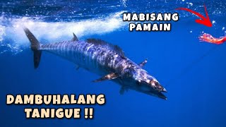 MGA DAMBUHALANG TANIGUE ANG AKING NAHULI  ITO TALAGA ANG MABISANG PAMAIN  CATCH AND SELL [upl. by Vinaya]