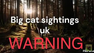 Big Cat Sightings UK NEW Scotish And English 2024 [upl. by Aranat]