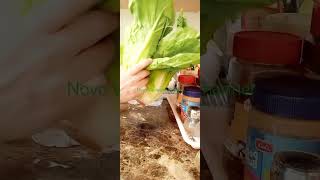 FRESH LETTUCE healthyfood salad vegetables  Novo Vizcayano Channel [upl. by Oiralednac14]