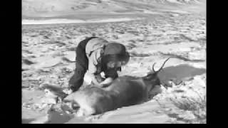 Anaktuvuk Pass Alaska Historical Images [upl. by Carew]