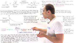 ATCase Allosteric Regulation [upl. by Gabel]